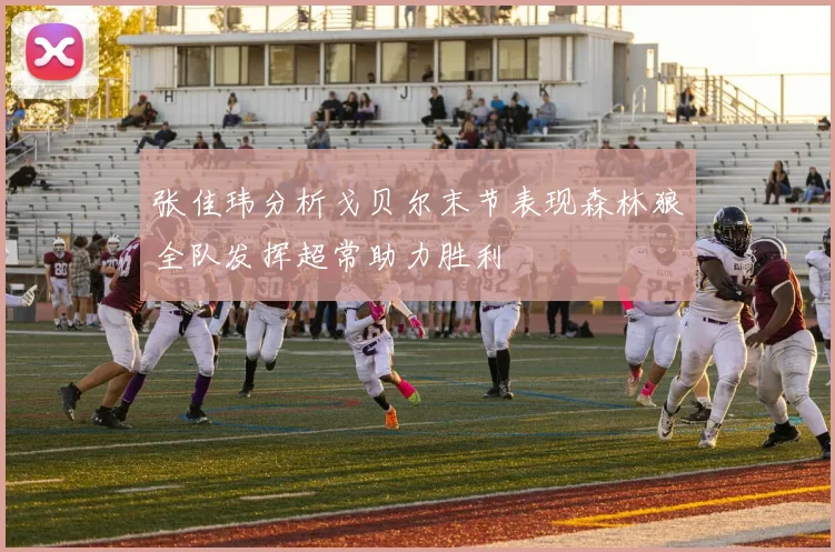 张佳玮分析戈贝尔末节表现森林狼全队发挥超常助力胜利