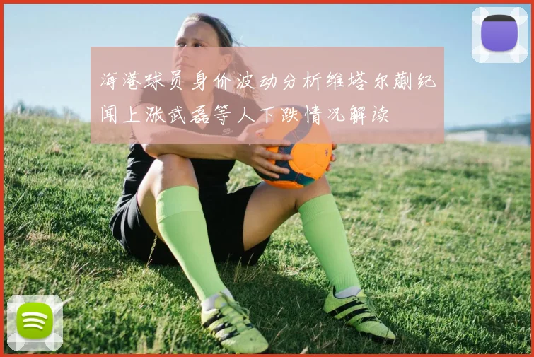 海港球员身价波动分析维塔尔蒯纪闻上涨武磊等人下跌情况解读