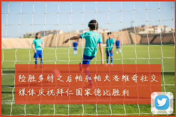 险胜多特之后帕和帕夫洛维奇社交媒体庆祝拜仁国家德比胜利